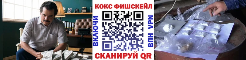 Купить где  Новокубанск  Кокаин Fish Scale 