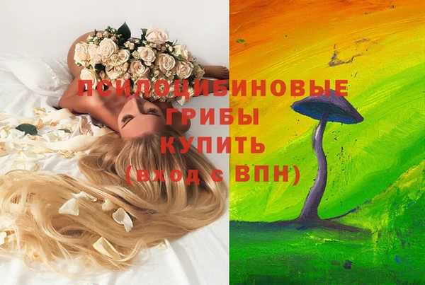 MESCALINE Арсеньев