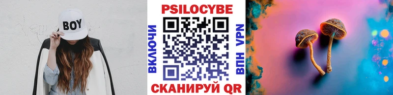 Галлюциногенные грибы Psilocybine cubensis  Купить где  Новокубанск 